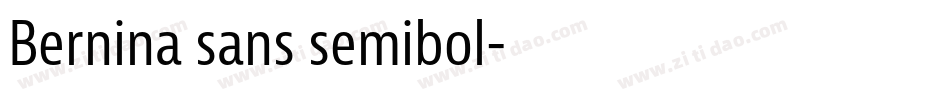 Bernina sans semibol字体转换